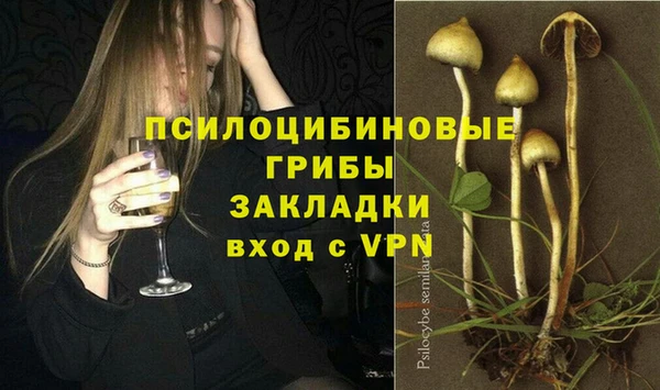 mdpv Зеленодольск