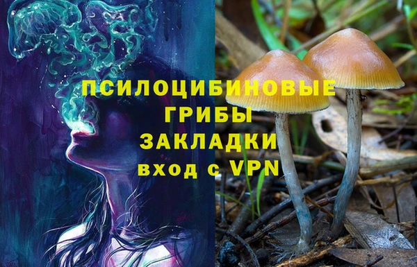 mdpv Зеленодольск