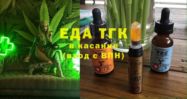 индика Зеленокумск