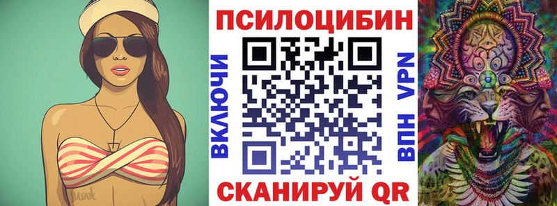 Купить где Демидов Псилоцибиновые грибы MAGIC MUSHROOMS